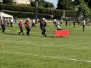 Bild-Thumbnail