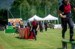 Bild-Thumbnail
