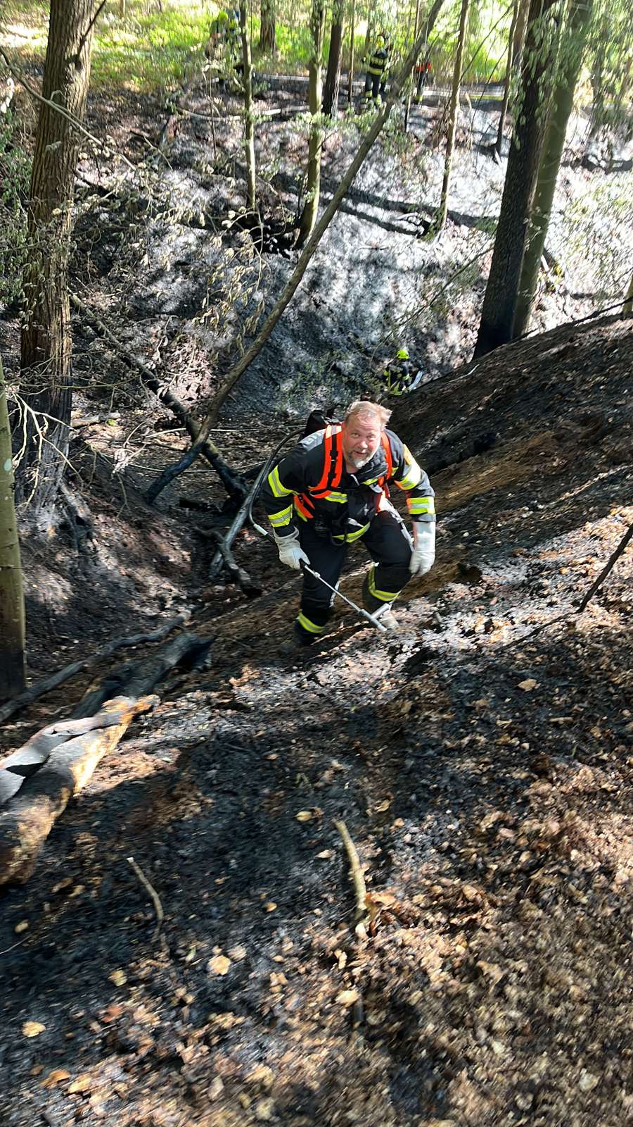 Bild